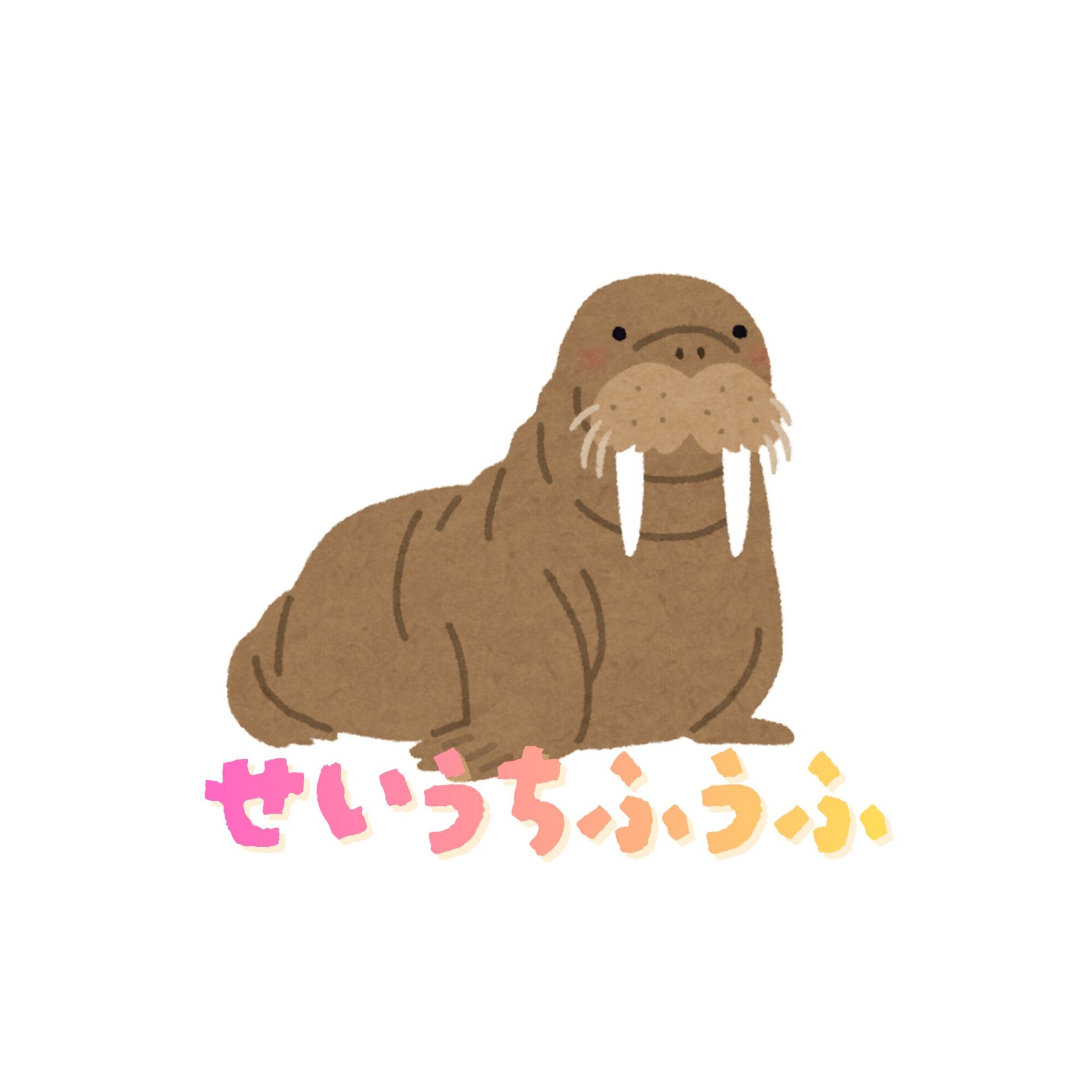 せいうち夫婦