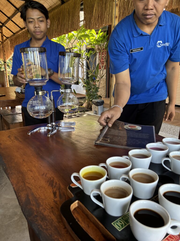 コーヒー農園でのジャコウネココーヒーの試飲